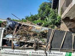 Best Demolition Debris Removal  in Chelsea, AL